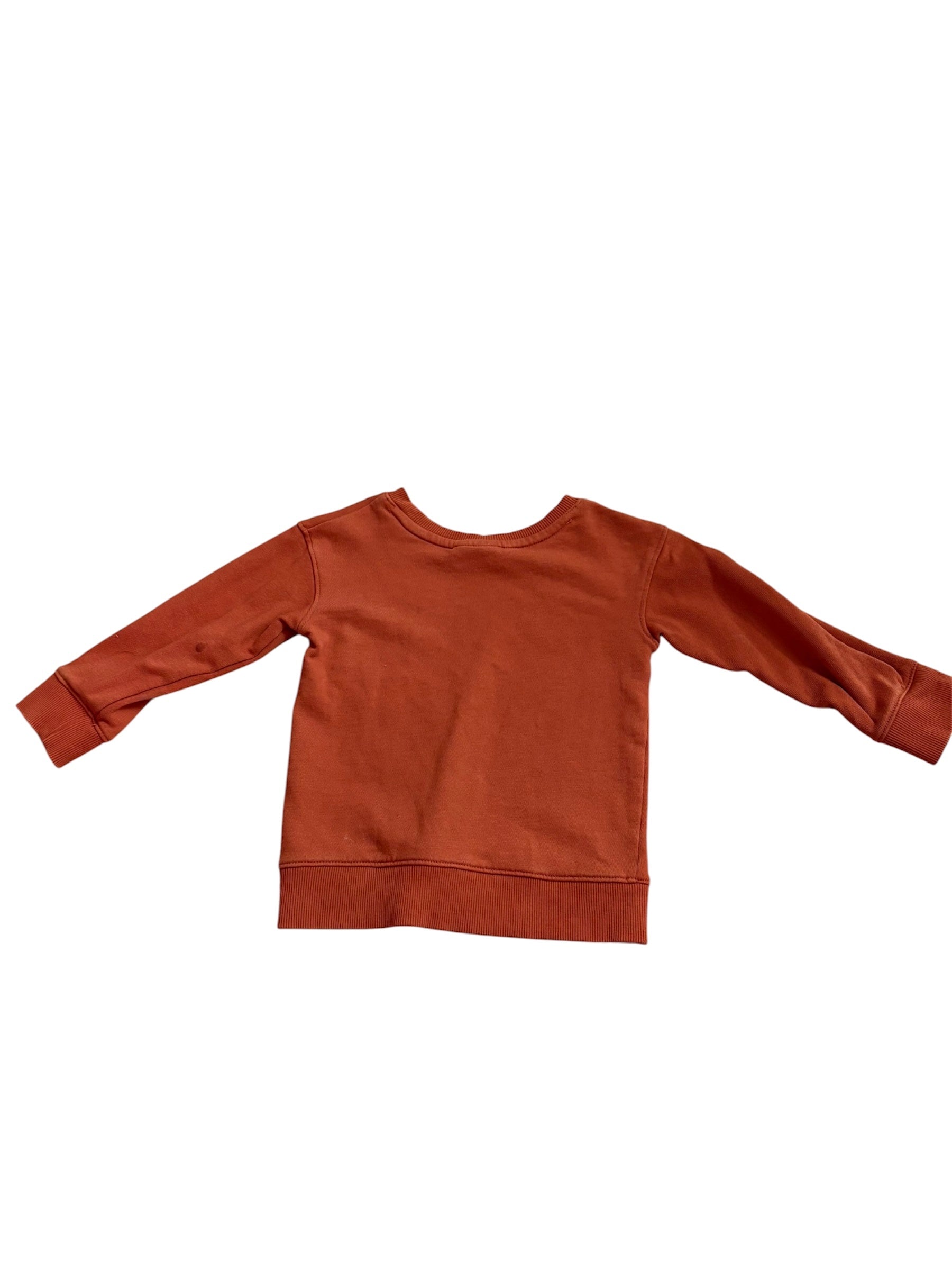 Manches longues 2 ans