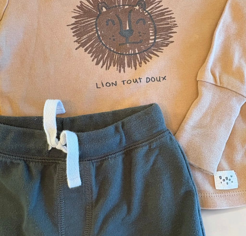Chandail GAGOU+pantalon CARTER’S 3 ans